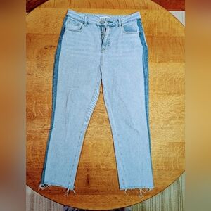 Pacsun Light Wash High Rise Mom Jeans Women's Size 29